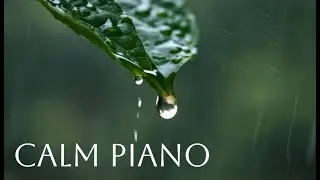 Calm Piano Music for Relax and Study I Dreamflow Audio 4K.