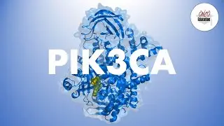 Krebsmutationen: PIK3CA