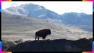Landscape Photos taken on Antelope Island Utah 2026