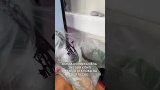 Сознавайтесь, было? #цветочнаяклептомания #экзотическиерастения #комнатныерастения #юмор