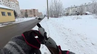 Прогулка в Старом Петергофе 30 января 2026 года