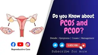 PCOS vs PCOD Explained | Details , Symptoms, Causes & Management