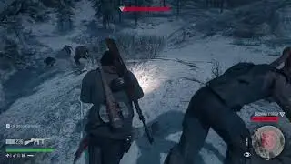 Days gone: Best bug