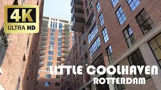Little Coolhaven, Rotterdam || Winter 2022 || 4K