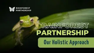 How Rainforest Partnership Protects Forests and Biodiversity