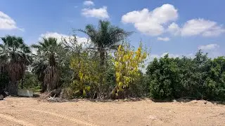 مزرعة ١٠ فدان ممتازة تصلح للمشاريع الكبري واجهة علي طريق مصر اسكندرية الصحراوي مباشرة بجوار السادات