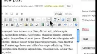 Using the Read More button in the WordPress visual editor
