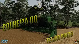 🚜 Mais um Dia no Talhão: O Feijão Preto não Para.... FAZENDA D'MELO -  Farming Simulator 22