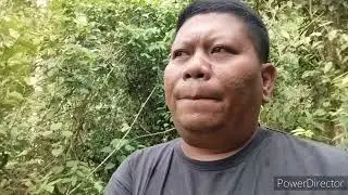 Bersihkan tanah untuk tanaman bunga kantan