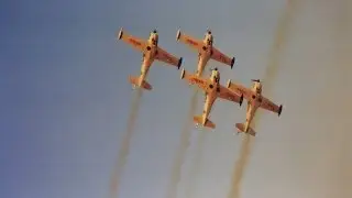 The SIAI Marchetti SF260 of Alpi Eagles during their last airshow