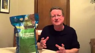 When to Apply Crabgrass Preventer - Spring Fertilizer - Crabgrass