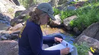 Drought Monitoring Keeps Tabs on California&rsquo;s Most Sensitive Wild Trout Species