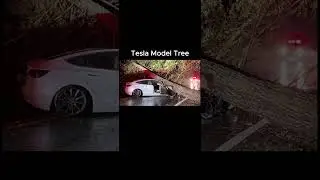 Best cars to buy meme part 2 #car #memes #trending #shorts 