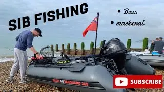 SIB FISHING - Bass and Mackerel - Eastbourne