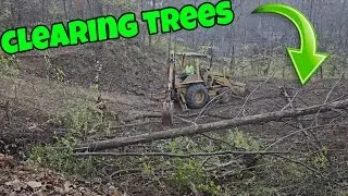 Clearing Trees! (Daily Excavation)