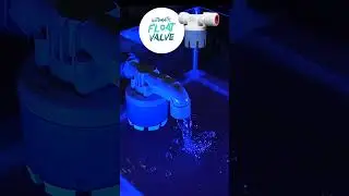Shorts | Automatic Water Level Control Float Valve