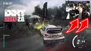Peugeot 206 WRC WET / Logitech G29 DiRT Rally 2.0 DLC