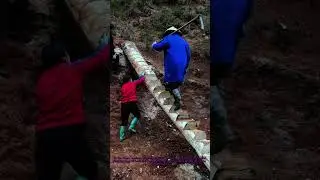 Giant Wood Stairs Installation & Prep Safety Tips