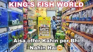 Ab tak Aisa offer nahin mila | kings fish world | aquarium shop | Goldfish Molly fish lovers 