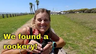 Tips for visiting Rockport and Port Aransas, Texas
