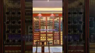 How to Create the Perfect Wine Cellar: Custom Temperature-Controlled Wine Cabinet Guide