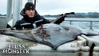 Jeremy Wade entdeckt ein extrem seltenes Flussmonster