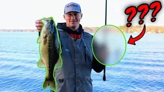 The BEST Winter Lure? (Controversial Bait)