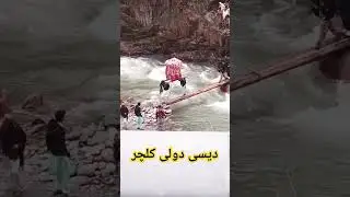 دیسی ڈولی کلچر Desi Dolly Culture | Kashmiri Culture | #shortvideo #shorts #short #kashmiriculture