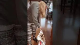 Is This The Best Dog Food Bag Ever?