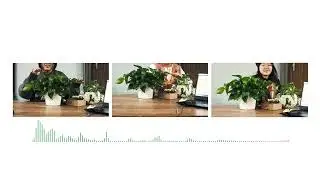 Green Harmony: Plant-Music Interaction Product 共鸣绿境 植物音乐交互产品设计