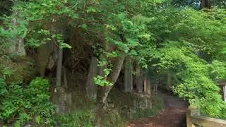Mitsumine Shrine trail