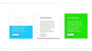CSS Quick Cards Hover Effects  Html CSS Tutorial