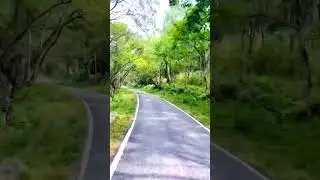 Road trip with green nature