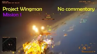 Project Wingman - Mission 1: Black Flag - Difficulty: Mercenary - No Commentary
