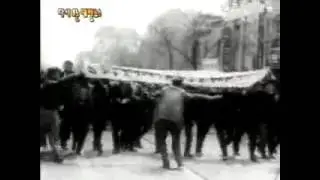 4.19혁명. 그 속으로 [1961]