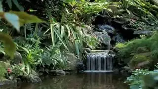 Living Waterfalls Screensaver Music  YouTube