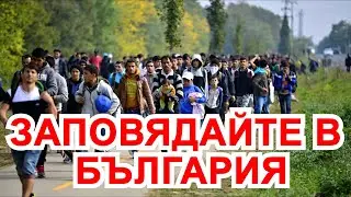 ПРАВИТЕЛСТВОТО НА БОРИСОВ-ПЕЕВСКИ ОТВОРИ ГРАНИЦИТЕ ЗА ИМИГРАНТИ!