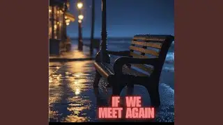 If We Meet Again