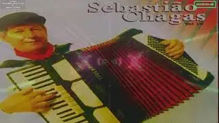 Hinos Ungidos Para Abençoar Sua Vida na Voz de Sebastião Chagas - Lutando e Dando Gloria