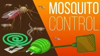 How To Make Mosquito Killer Coil At Home Safe For Kids No Smell No Smoke | Life and Living