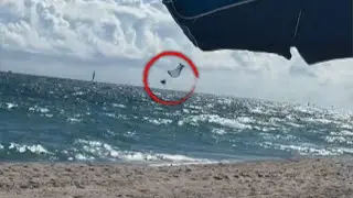 Parasailer Survives Plummeting 500 Feet Into Ocean