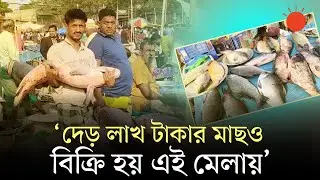 এক দিনে কোটি টাকার মাছ কেনাবেচা হয় যে মেলায় | Fish Fair | Habiganj | Prothom Alo