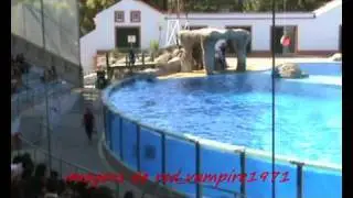 BAIA DOS GOLFINHOS 1ª PARTE.