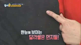 [알짜팁] 어두운 옷에 묻은 먼지 쉽게 제거하는 법 알짜왕 16회