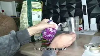 Чудо растение, убийца Комаров и дома и на участке