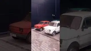 Vena Oława ❤️ Love.