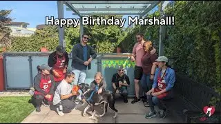 Shelter Dog Marshall Has A Surprise Birthday Party! | SF SPCA