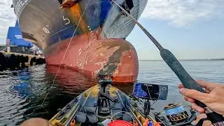 Kayak Fishing Panama City Port & Hathaway Bridge