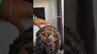 #loccare #locs #locjourney
