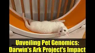 Unveiling Pet Genomics: Darwin's Ark Project's Impact